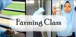 [VIDEO] FARMING CLASS